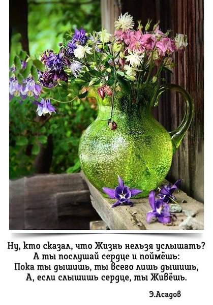   - 8  2025  13:08