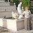 ���� ������, ������, 55 ��� - ��������� 16 ������� 2026