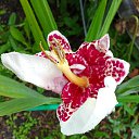 ���� �����, ����, 67 ��� - ��������� 24 ������� 2025 � ������ �������