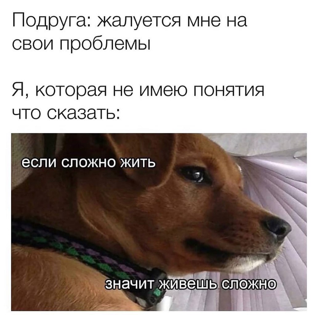    - 24  2024  02:41