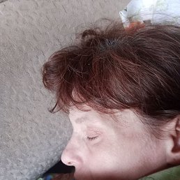 , 37, 
