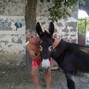 ���� ������, ���������, 61 ��� - ��������� 27 ������� 2024 � ������ ���� ����������