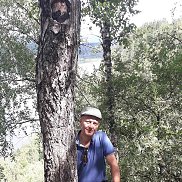 , 47 , 