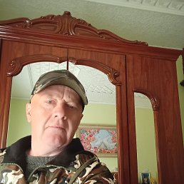 , 48, 