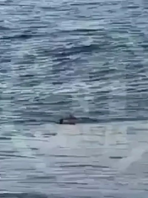 Шторм унёс ребёнка в море.В Сочи семья гуляла по берегу во время шторма. В какой-то момент волна ... - 2