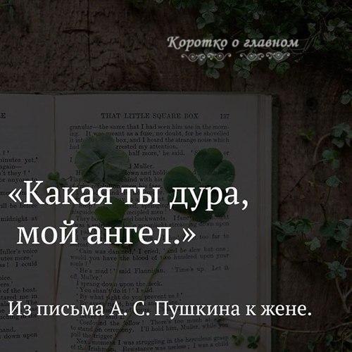   ... - 26  2025  10:32