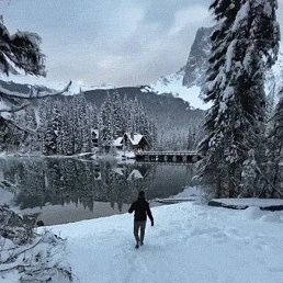 ������, ����������, 43 ����