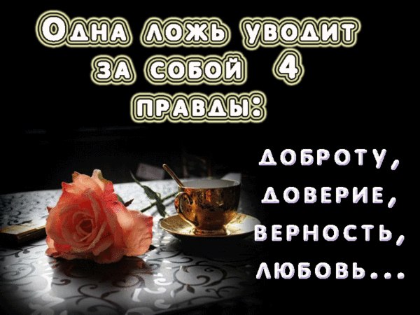   - 17  2023  11:28
