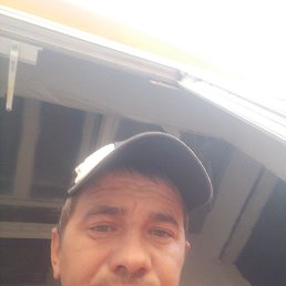 , 40, 