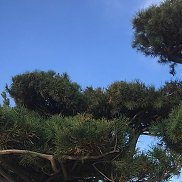 ������, 47 ���, ���������