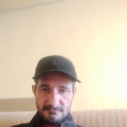 �����, ������, 43 ����