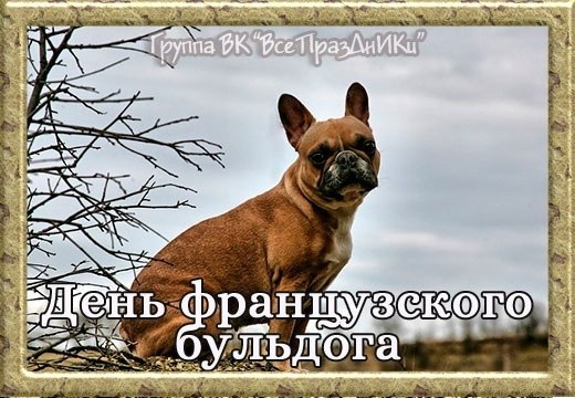 : , , , , , , , , , , ... - 9