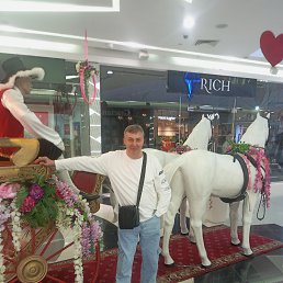  , 55, 