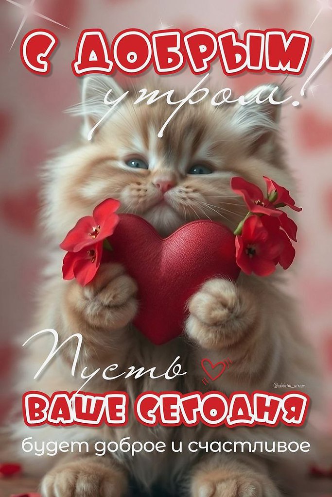   ,    . - 3  2025  07:21 - 3