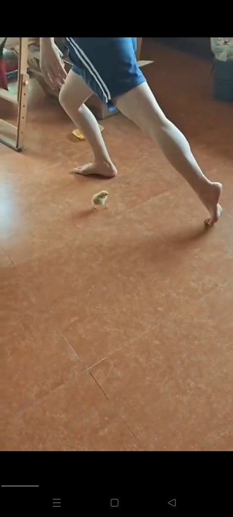  :     ,    ,  ...