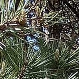 �������, ������, 58 ���