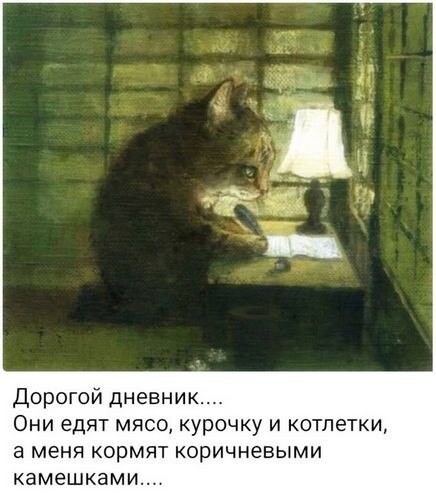   - 9  2025  15:23