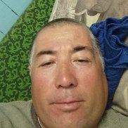 , 43 , 