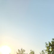 �����, 36 ���, ���������