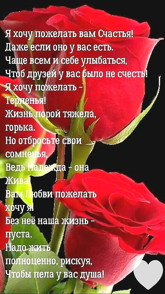 ₪╬═►  ||  ||  ◄═╬₪ - 30  2025  13:53