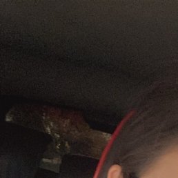 ����, �������, 36 ���