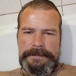 �����, ������, 49 ���