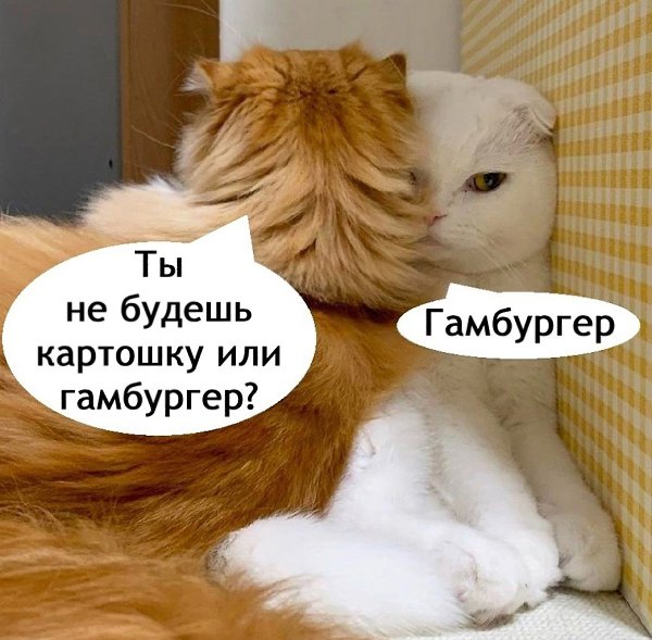  ,   - 2