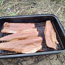 ���� ������, ������, 49 ��� - ��������� 8 �������� 2025 � ������ ������ ��������