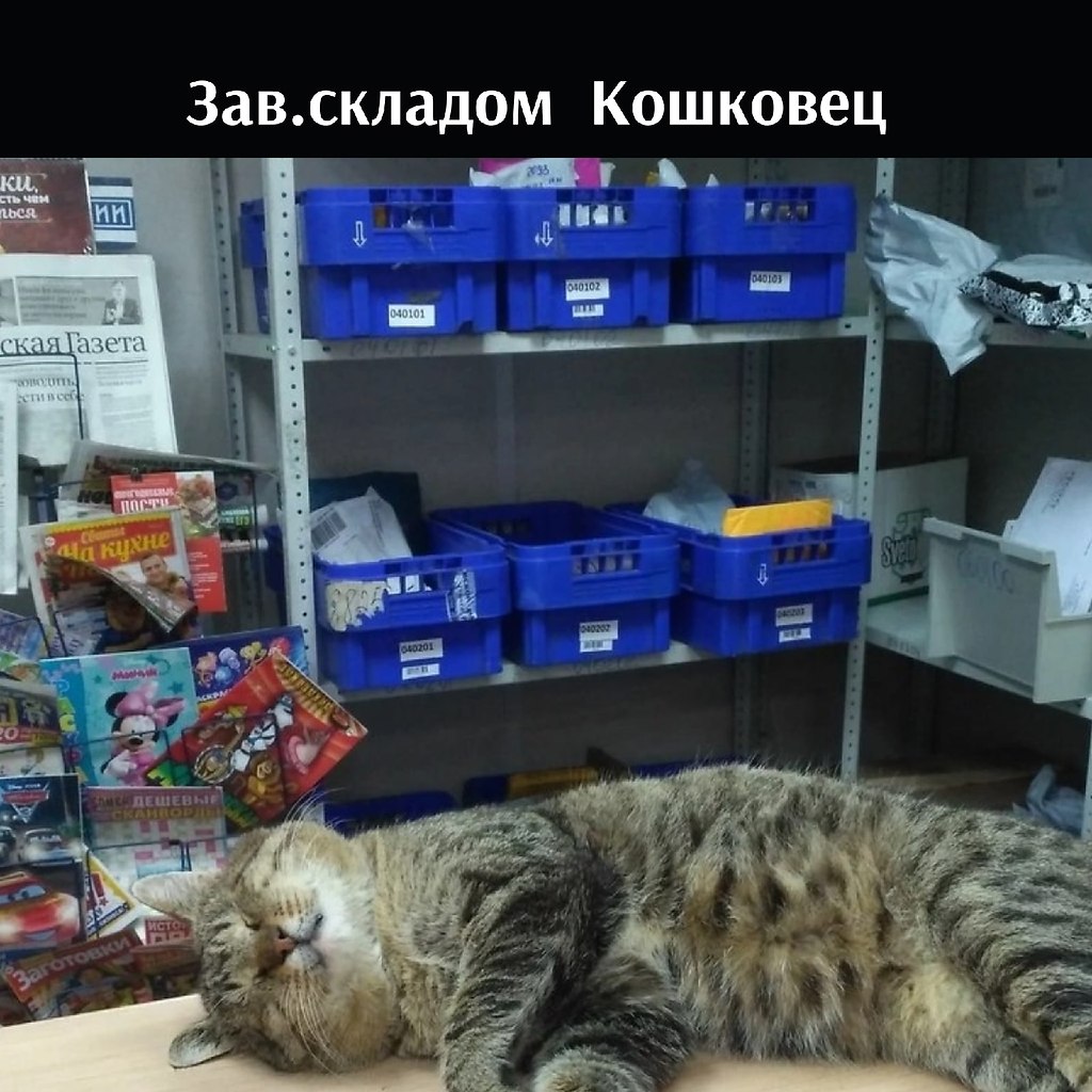��� ���� � ����� �� �� - 22 ����� 2026 � 18:00 - 3
