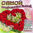 ���� ����, ������������ - ��������� 24 ���� 2025 � ������ ������ ��������