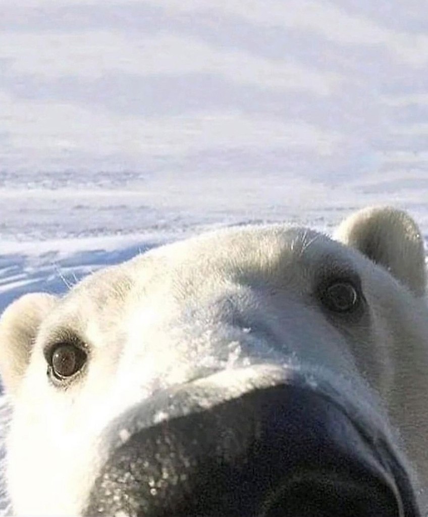     - 5