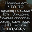 ���� ~&hearts;�������&hearts;~, ������, 46 ��� - ��������� 17 ������ 2026