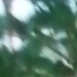 �����, ������, 59 ���