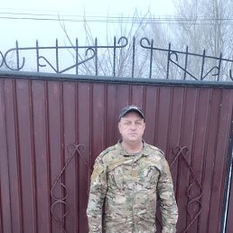 , 51, 