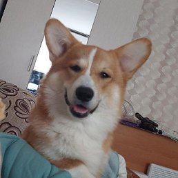 ���, �������, 24 ����