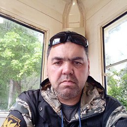  , 46, 