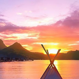 �������, �������, 47 ���