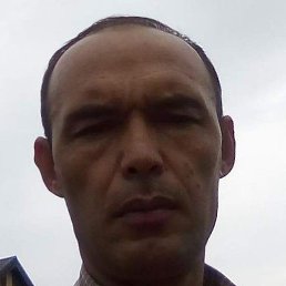 ��������, ������, 50 ���