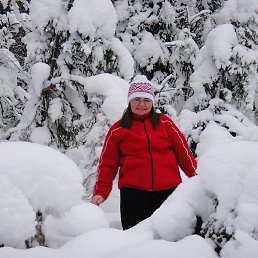 �����, ������, 62 ����