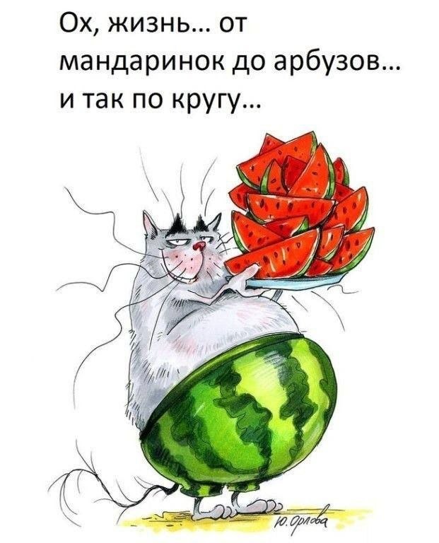   ,    . - 13  2025  07:25