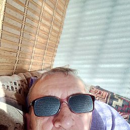, 65 , 