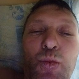 �������, ������, 46 ���