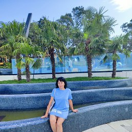 , 51, 