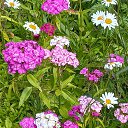 ���� ������, �����-���������, 62 ���� - ��������� 24 �������� 2025 � ������ �������