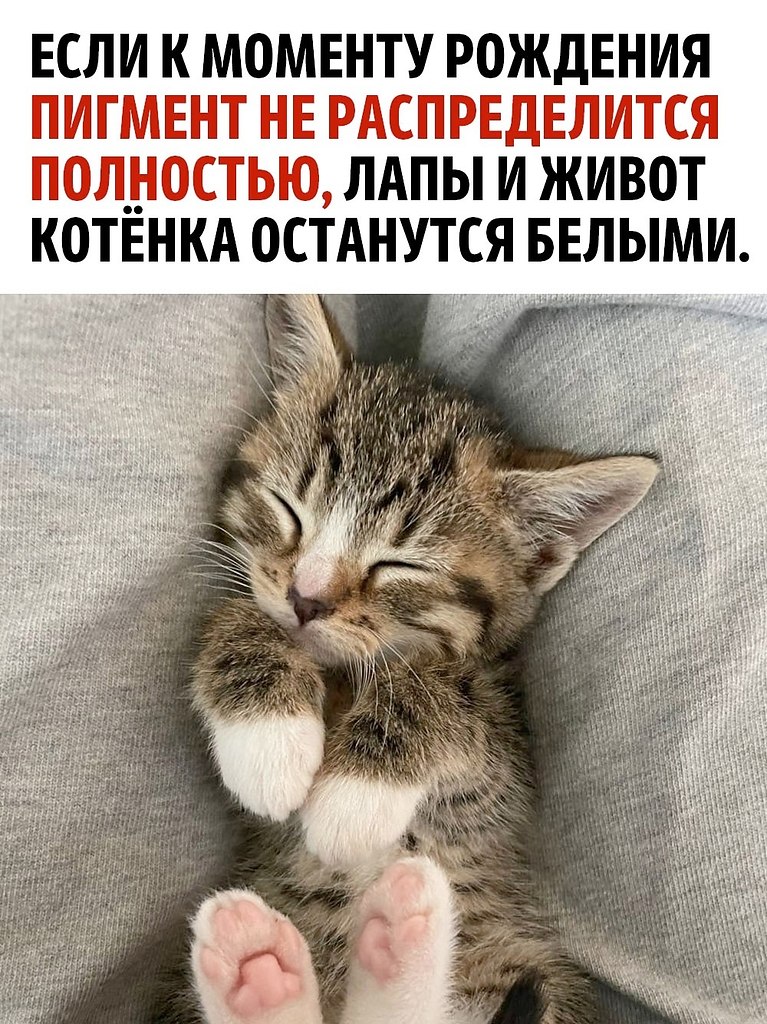     ? - 3