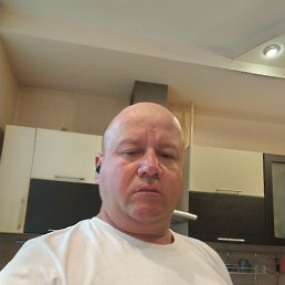 , 44, 