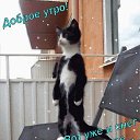 ���� ������, ������������ - ��������� 31 ������� 2023