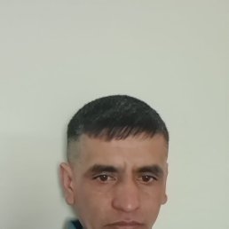 , 37 , 