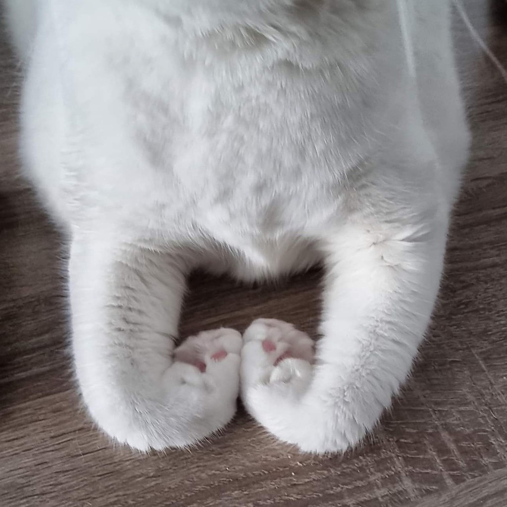     ))) - 3