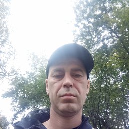 , 37, 